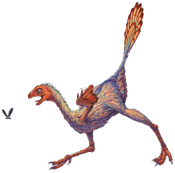 Caudipteryx Zoui